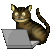 :work: